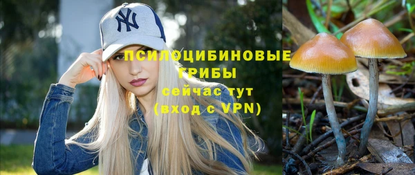 дмт Коряжма