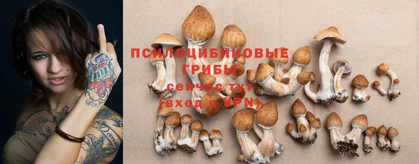 кристаллы Козельск